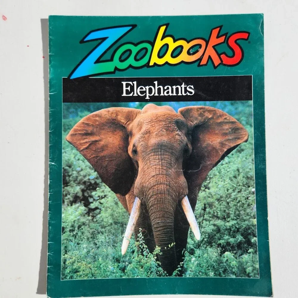 Elephants Zoobooks Kids Magazine Vintage Children's Ranger Rick John Bonnett Wex